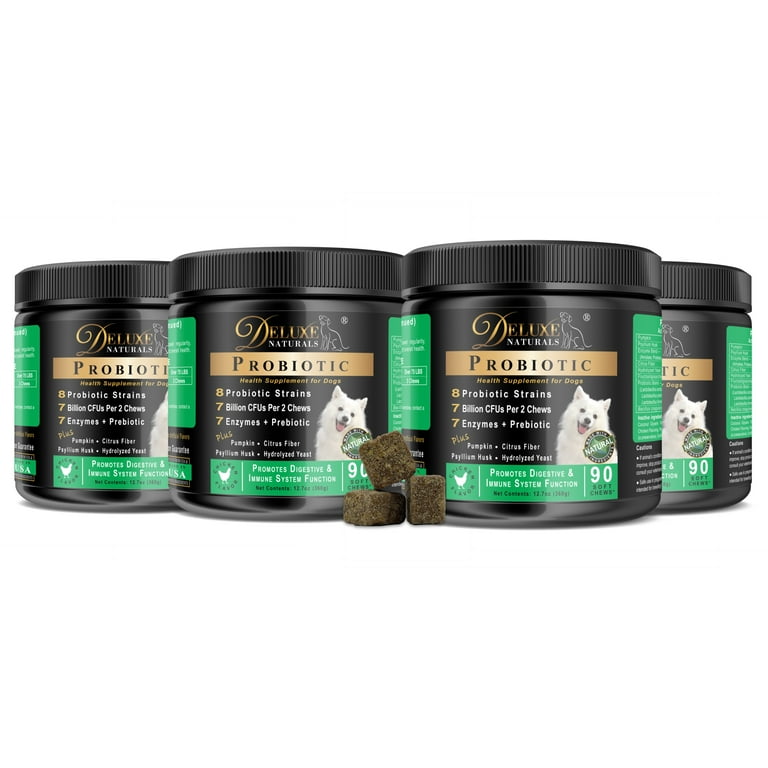 Pet naturals sales probiotics for dogs