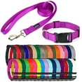 thumbnail image 1 of Country Brook Petz® Bright Purple Everyday Nylon Dog Collar and Leash, Large, 1 of 7