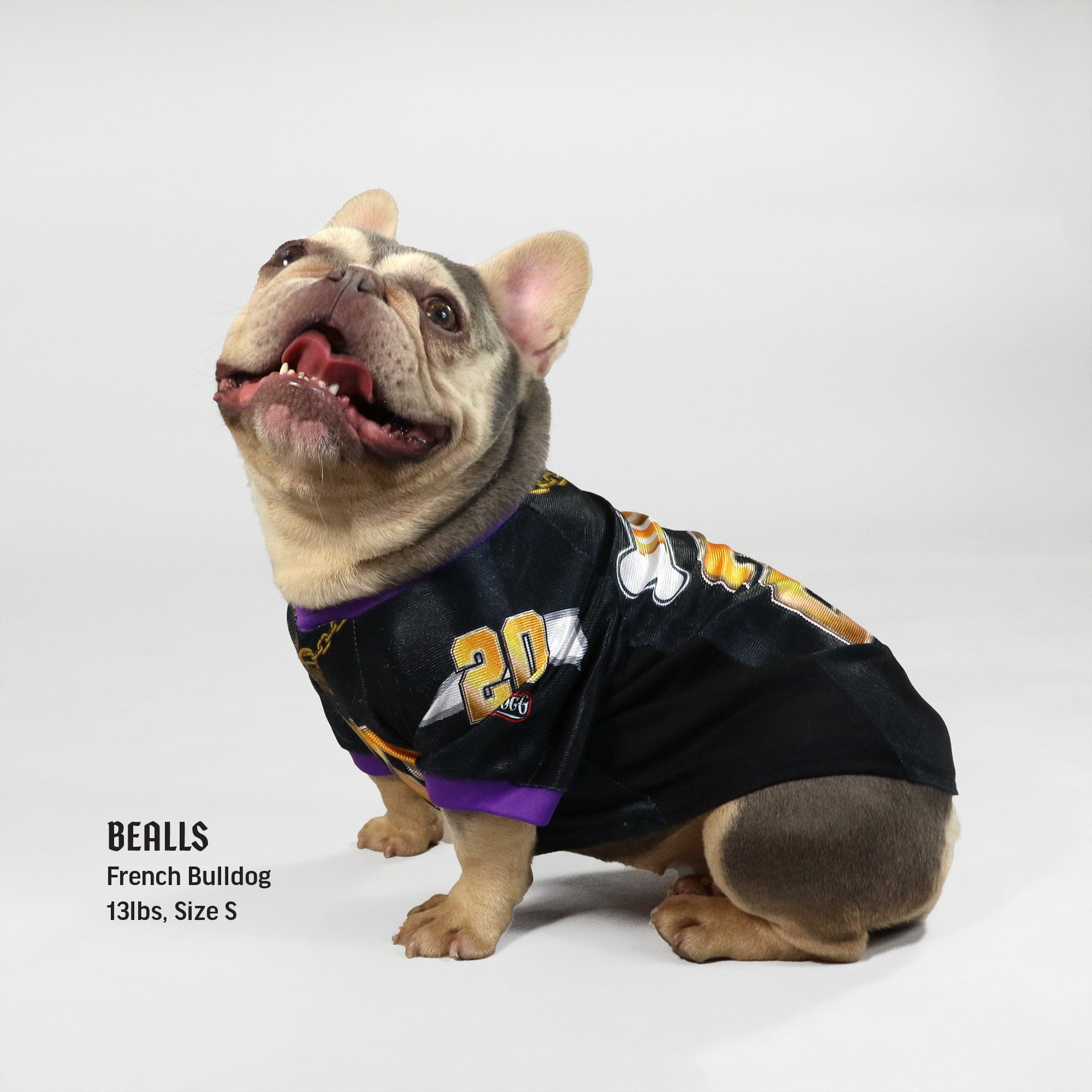 Deluxe Pet Jersey â€“ Off The Chain