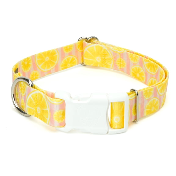 Country Brook Petz® Pink Lemonade Everyday Dog Collar - Made in the U.S.A., Large