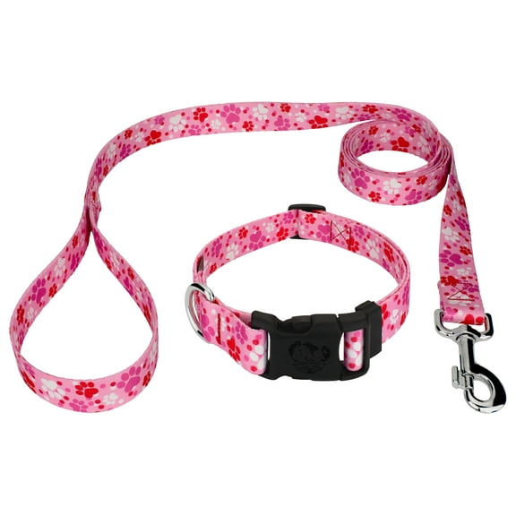 Country Brook Petz® Puppy Love Everyday Dog Collar and Leash, Extra Large