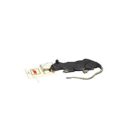 Deluxe Rat In Trap w/Motion Animated Halloween Decoration