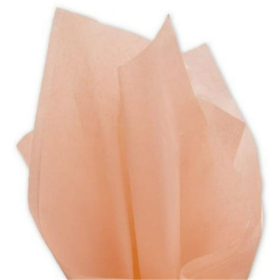 Deluxe Small Business Sales 11-01-27 20 x 30 in. Solid Tissue Paper, Peach