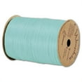 thumbnail image 1 of Deluxe Small Business Sales 74900-10 0.25 in. x 100 yds. Matte Wraphia Ribbon, Robins Egg Blue, 1 of 1