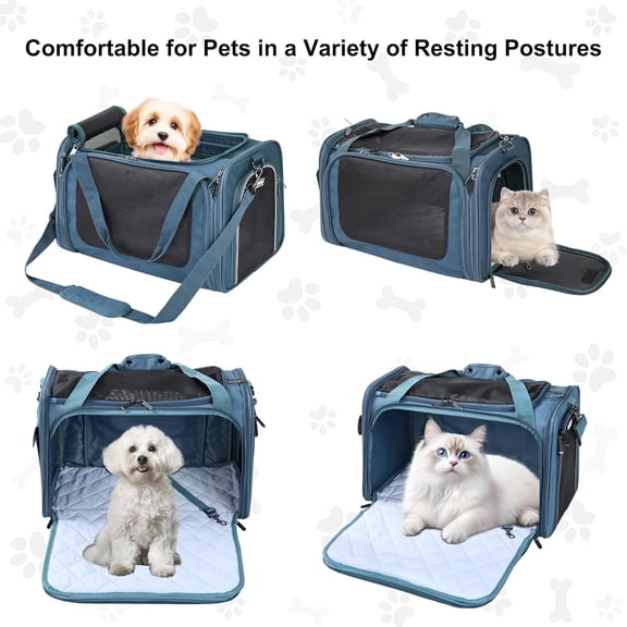 Deluxe Soft-Sided Pet Carrier (3 Year Warranty, Airline Approved), Travel Bag for Dogs, Cats & Small Pets, with Expandable Mat