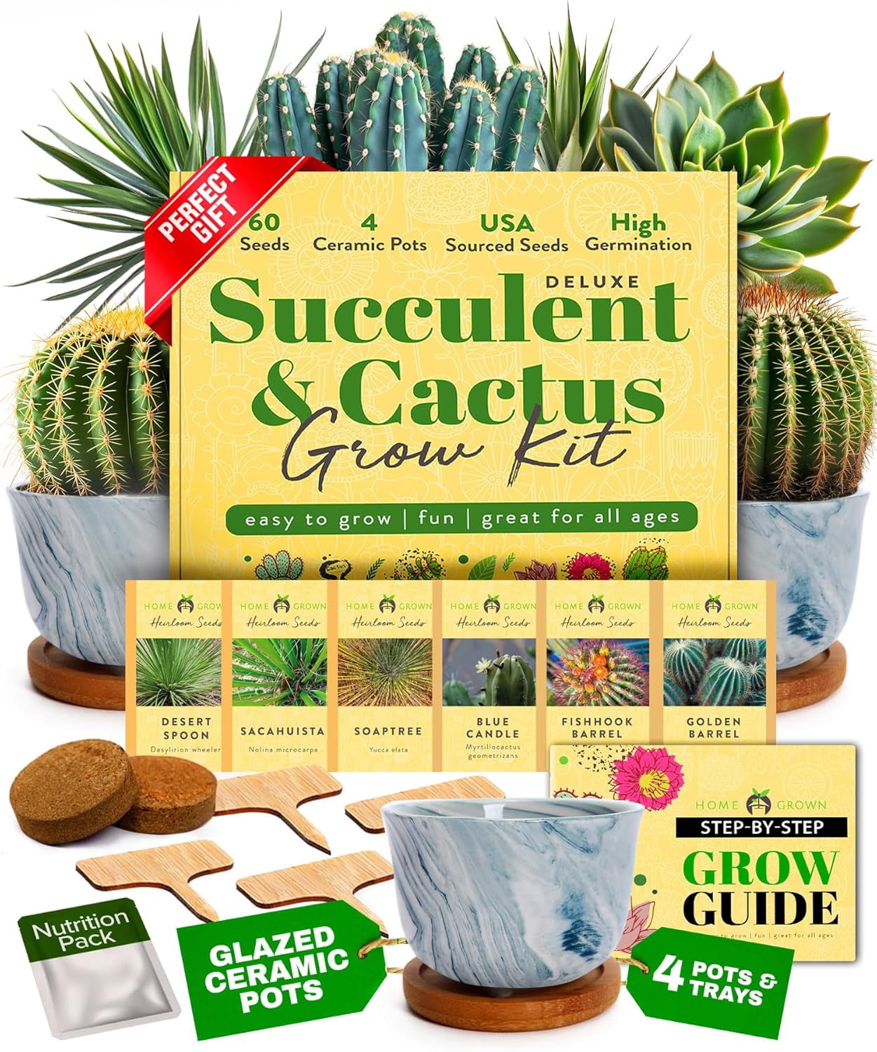 Deluxe Succulent & Cactus Seed Grow Kit - Complete Indoor Plant Kit ...