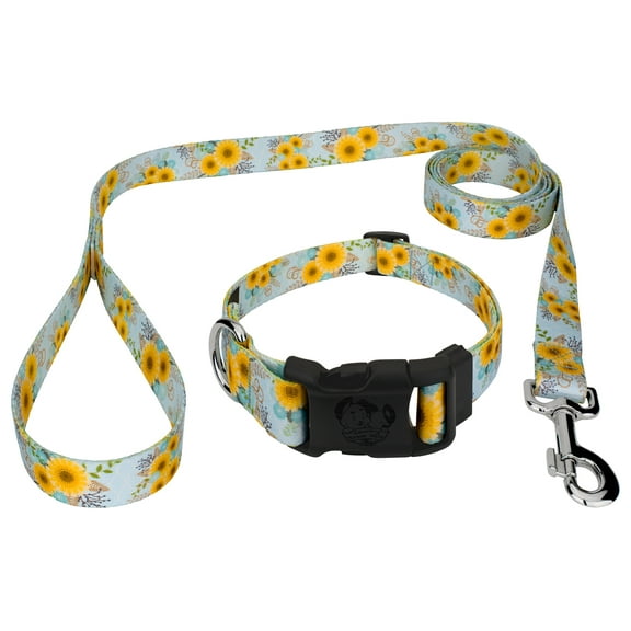 Country Brook Petz® Deluxe Sunny Days Dog Collar and Leash, Small