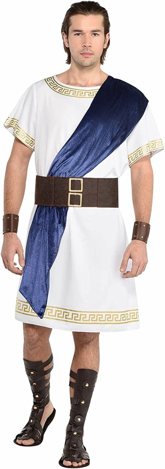 Deluxe Toga Gods & Goddesses Suit Yourself Adult Costume STANDARD ...