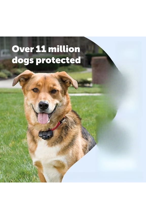 Deluxe Ultralight Receiver Collar - Waterproof & Battery Operated Adjustable Invisible Boundary Training Collar - for Dogs Older Than 6 Months Weighing 8lb+