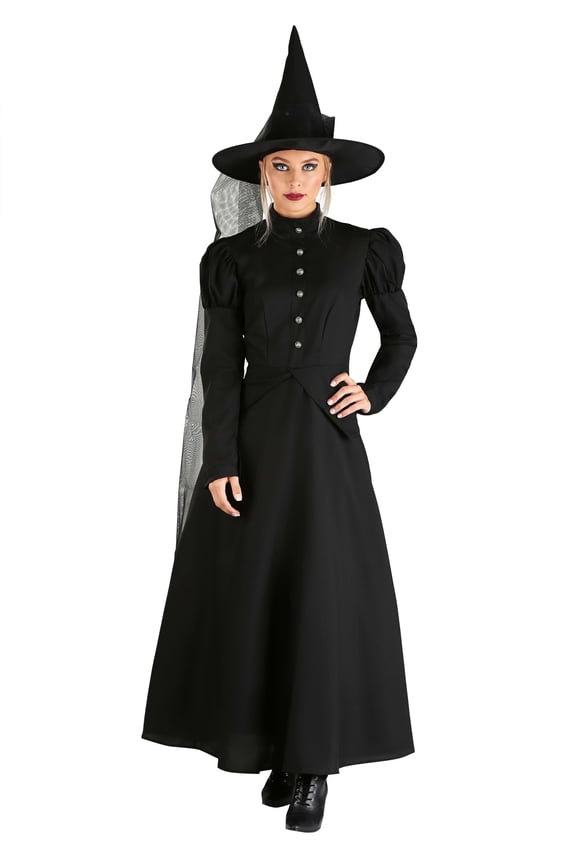 Deluxe Wicked Witch Costume