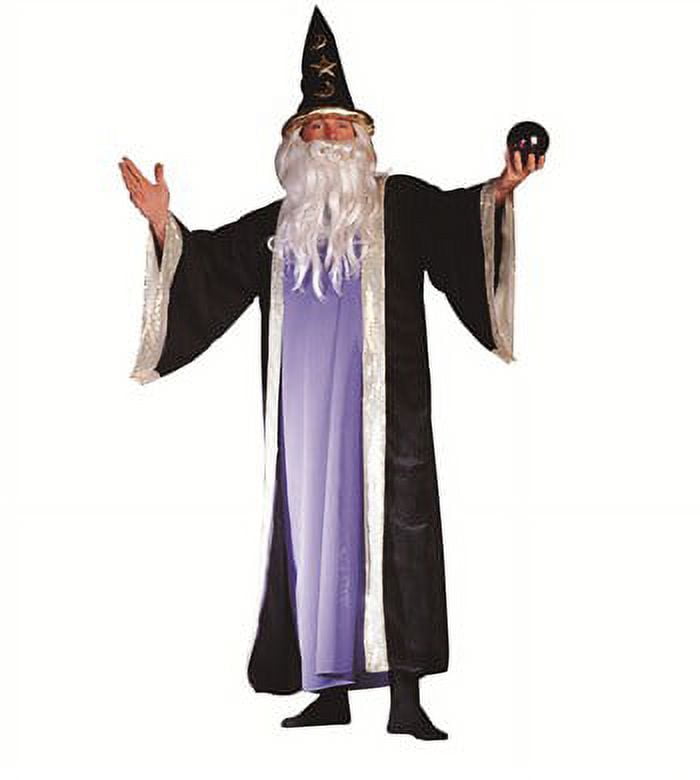 Deluxe Wizard Costume Plus Size Costume - Walmart.com