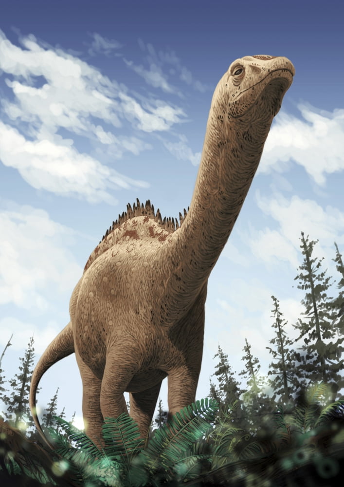 Demandasaurus darwini a rebbachisaurid from Spain Canvas Art - Roman Garcia MoraStocktrek Images (12 x 17)
