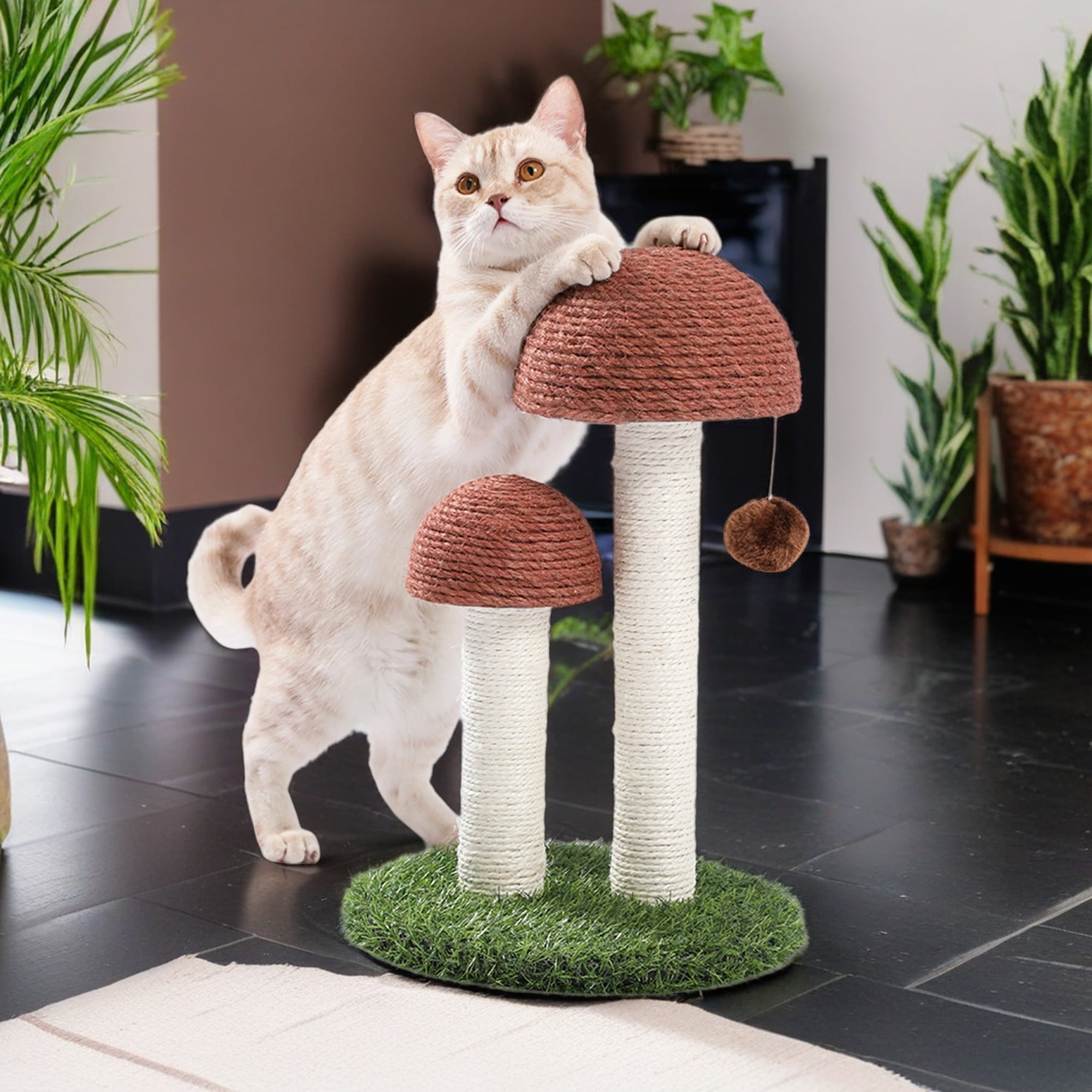 Kadyn 18" Mushroom Style Cat Tree for Indoor Cats, Cat Scratching Post for Kitty, Cat Scratchers Pole, Kittens Interactive Toys, Brown