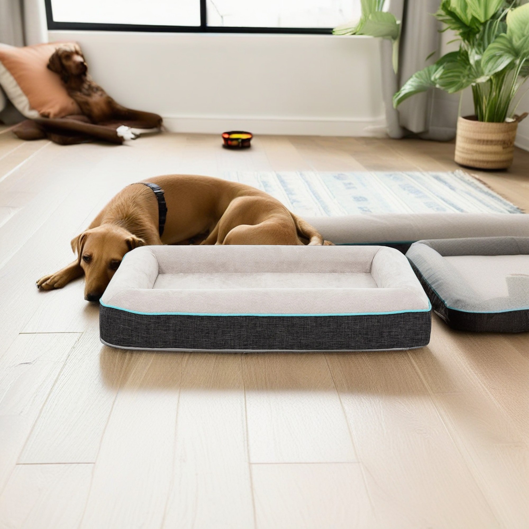 Kadyn 28" Stylish Pet Sofa Bed with Removable Washable Cover, Soft and Comfortable, Cat and Dog Beds for Small Medium Dogs, Gray