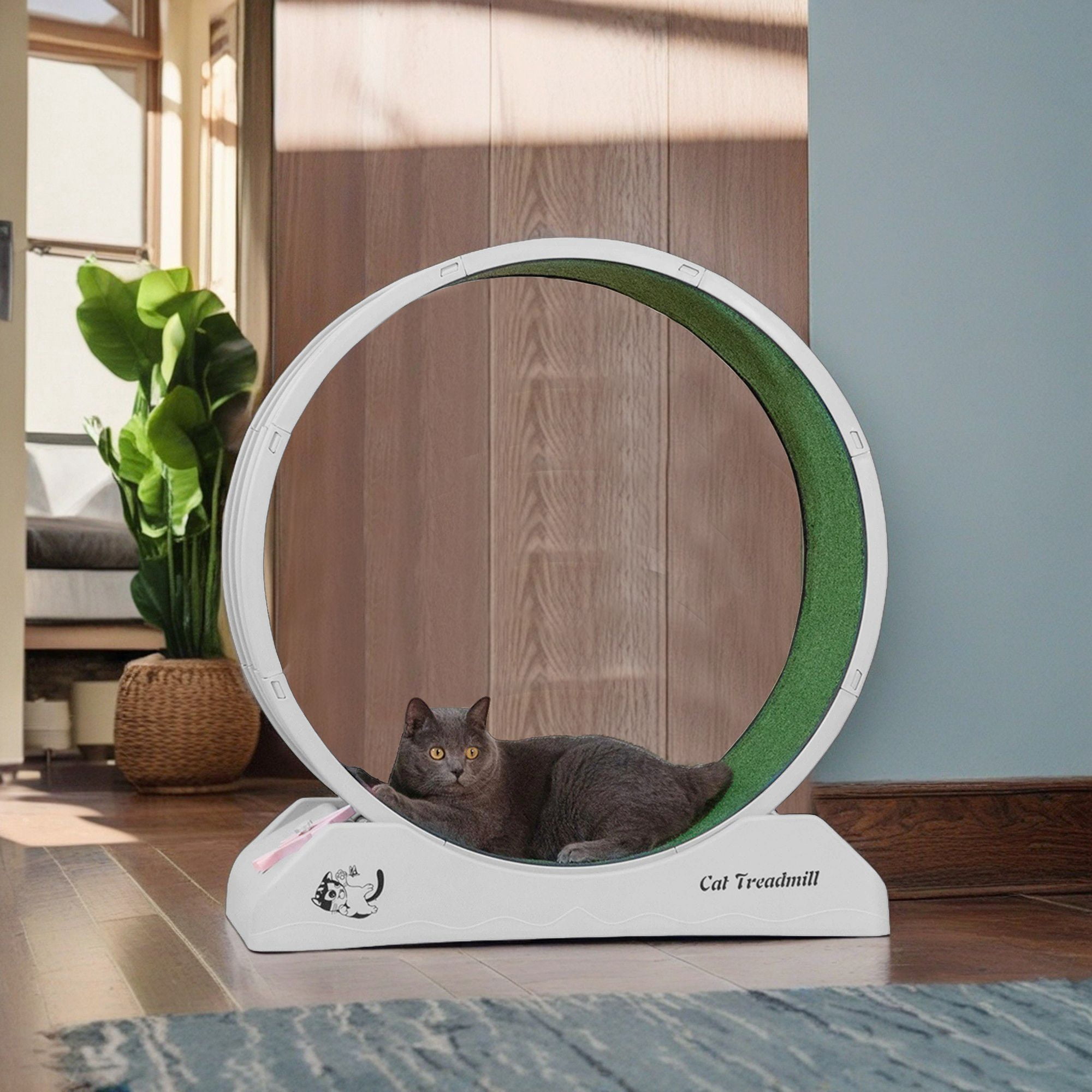 resenkos 31" Cat Exercise Wheel for Indoor Cats, Cat Running Wheel with Carpeted Runway, Cat Sport Treadmill Wheel for Kitty’s Longer Life, Gray