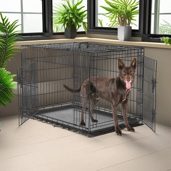 Demi Bonn 36" Dog Crates for Large Dogs Folding Mental Wire Pet Cage Outdoor and Indoor Dog Kennels with Double-Door, Divider Panel, Removable Tray, Black