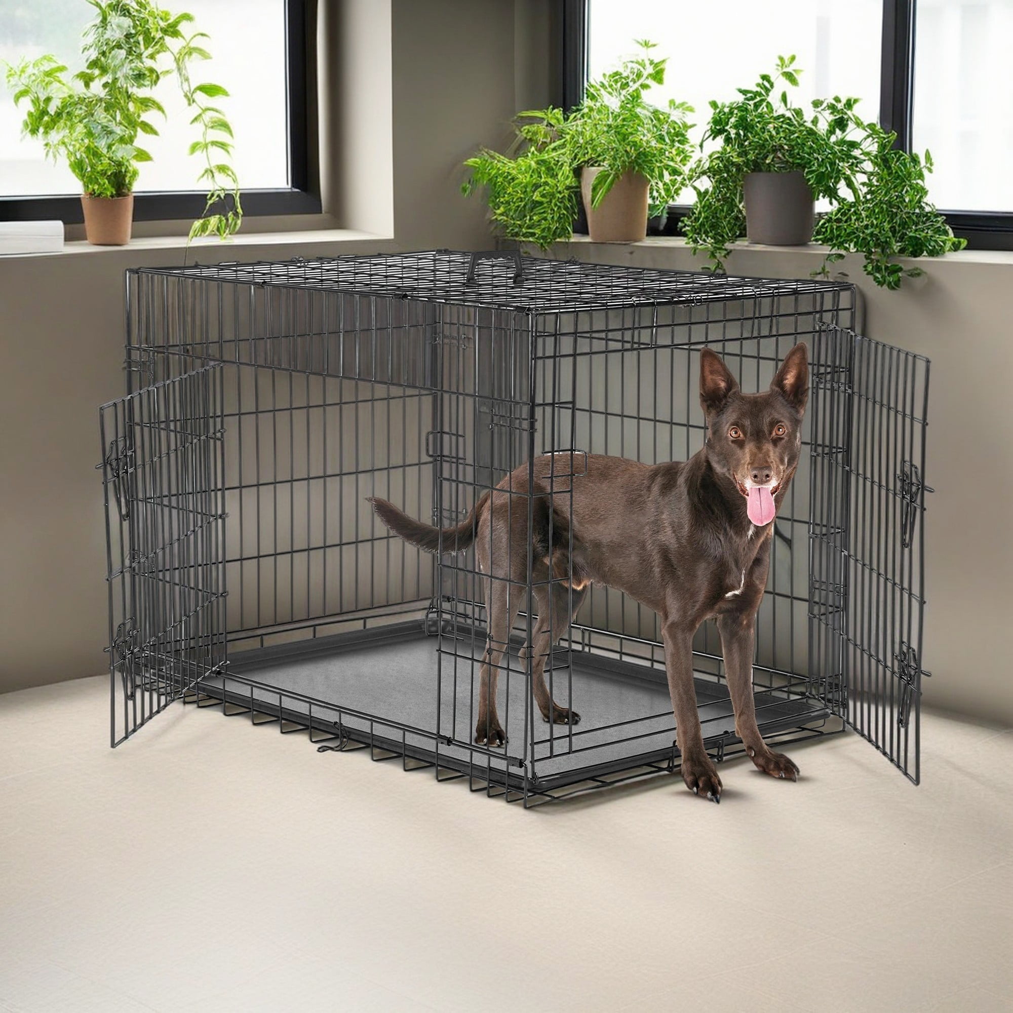 Demi Bonn 36" Durable Dog Crate with Double Doors, Foldable Metal Wire Dog Cage with Tray and Divider Panel, Dog Kennel for Large Dogs, Black