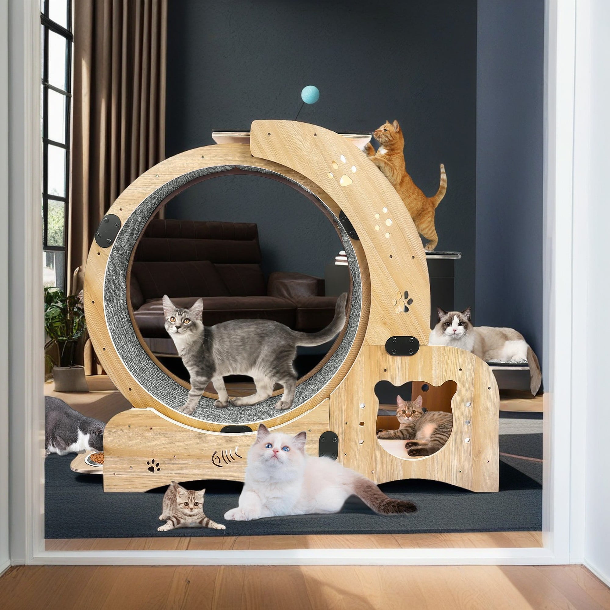 Kadyn 42" 4-in-1 Cat Exercise Wheel for Indoor Cats, Large Cat Running Wheels, Cat Treadmill Wheel, Ultra-Quiet Running for Cat's Healthy, Beige