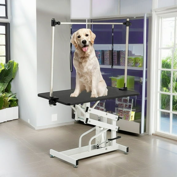 Demi Bonn 42" Heavy Duty Electric Lifting Pet Dog Grooming Table for Large Dogs with "H" Arm, Anti-Skid Rubber Desktop and Powerful Motor, Black