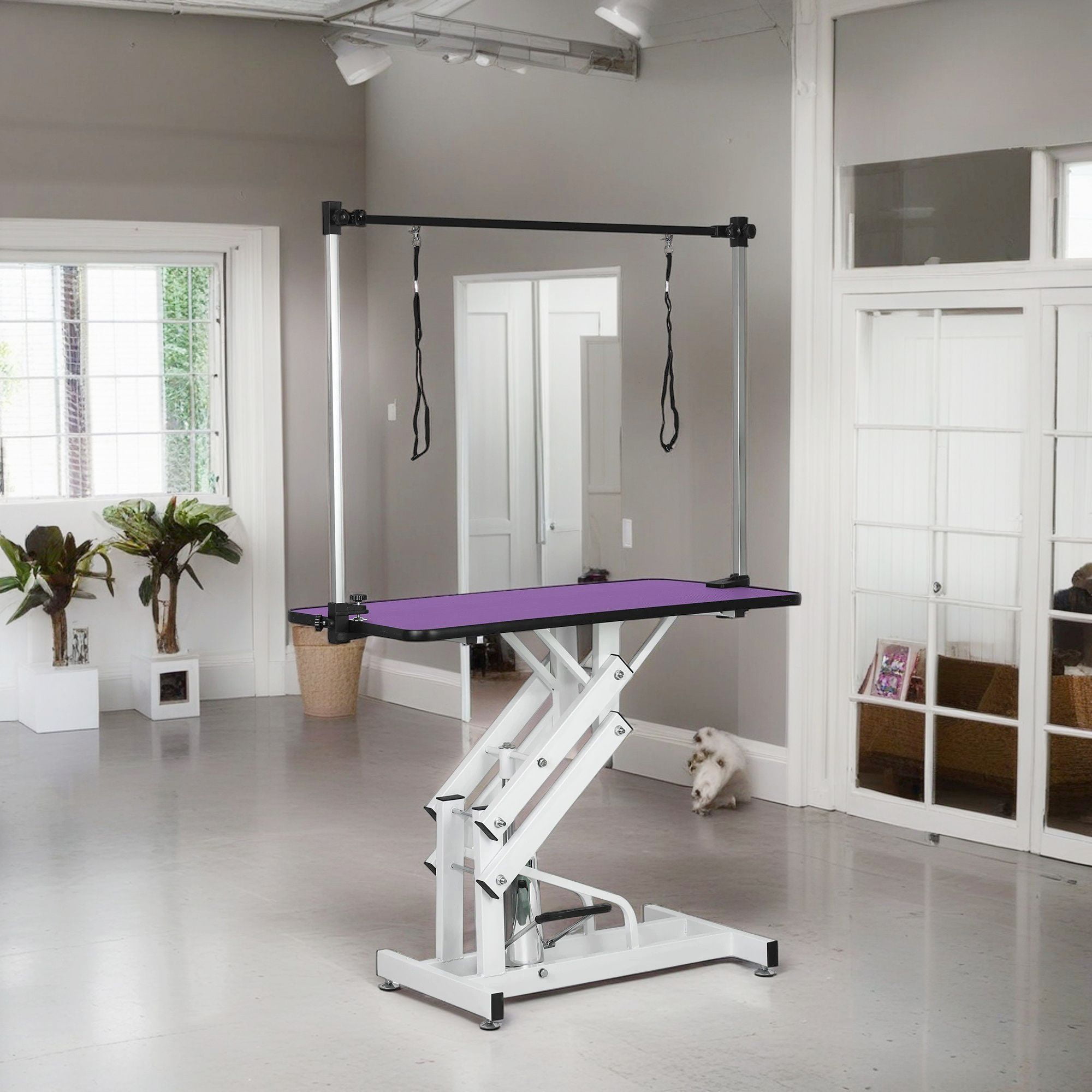 Photo inspiration: Heavy Duty Grooming Tables For Big Dogs Reference: Demi Bonn 42 Heavy Duty Electric Lifting Pet Dog Grooming