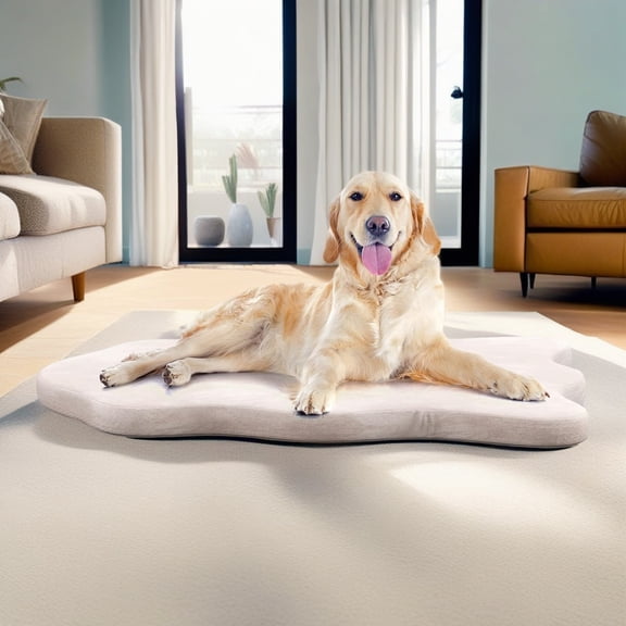 Demi Bonn 43" Orthopedic Dog Bed with Memory Foam Support for Large Breed Dogs, 3" Thick Pet Bed with Removable Cover, Beige