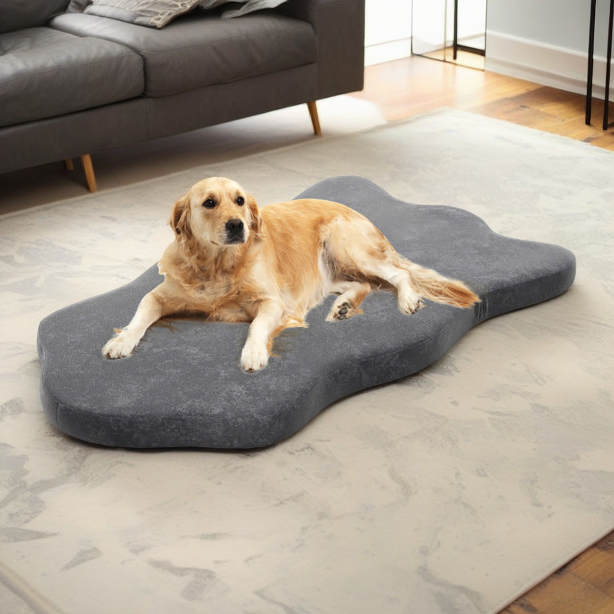 Kadyn 43" Orthopedic Dog Bed with Memory Foam Support for Large Dogs, 3" Thick Memory Foam Pet Bed with Removable Cover, Gray