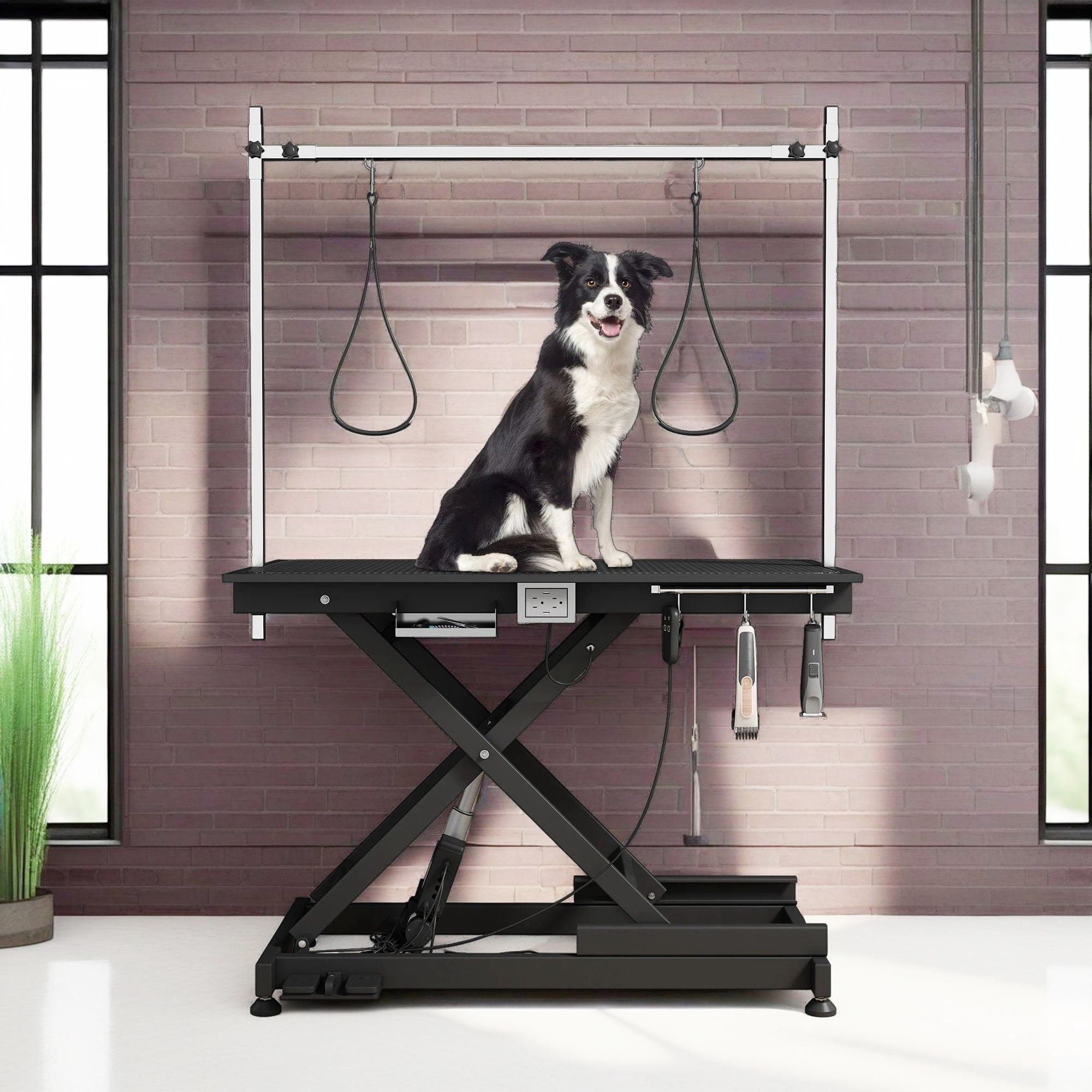 The 9 Best Dog Grooming Tables and Accessories of 2026