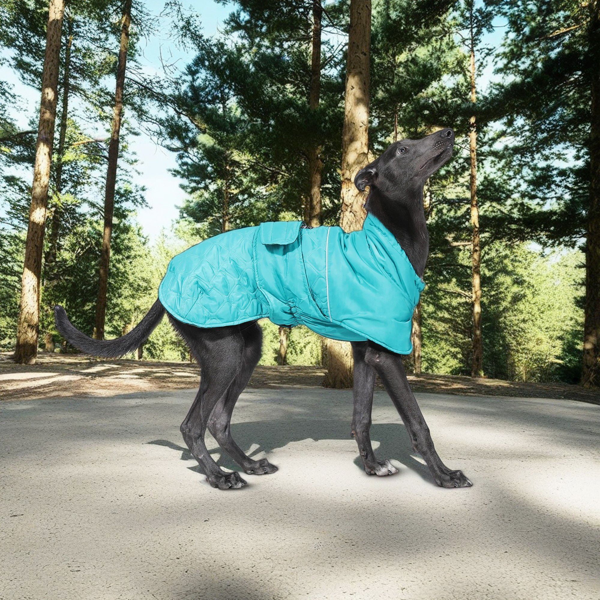 Kadyn Reversible Water Repellent Dog Jacket Pets Apparel Winter Warm Outdoor Sport Dog Coats for Winter Cold Weather Puppy Comfort Vest, Green 2XL Kadyn Reversible Water Repellent Dog Jacket Pets Apparel Winter Warm Outdoor Sport Dog Coats for Winter Cold Weather Puppy Comfort Vest, Green 2XL