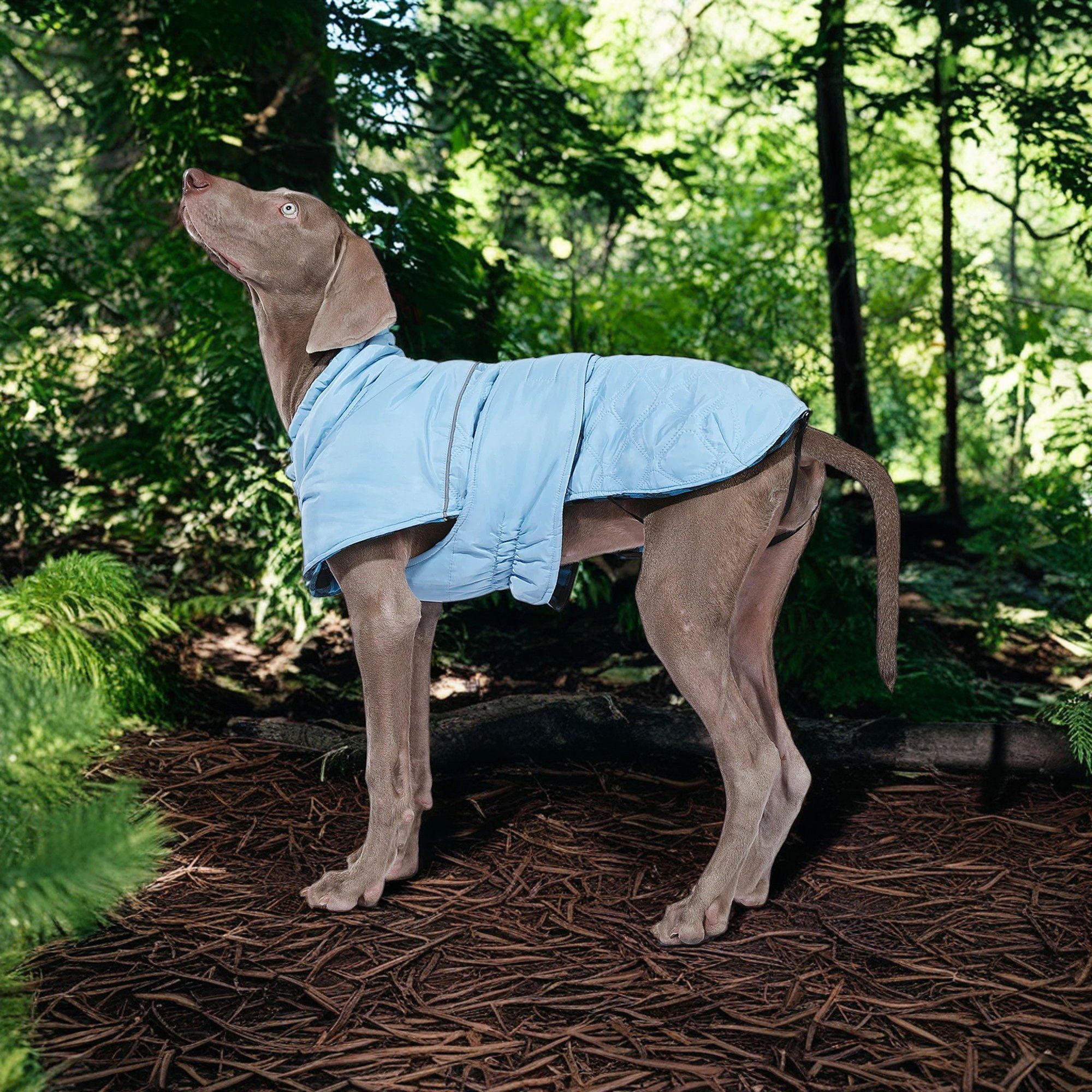 resenkos Reversible Water Repellent Dog Jacket Pets Apparel Winter Warm Outdoor Sport Dog Coats for Winter Cold Weather Puppy Comfort Vest, Blue L