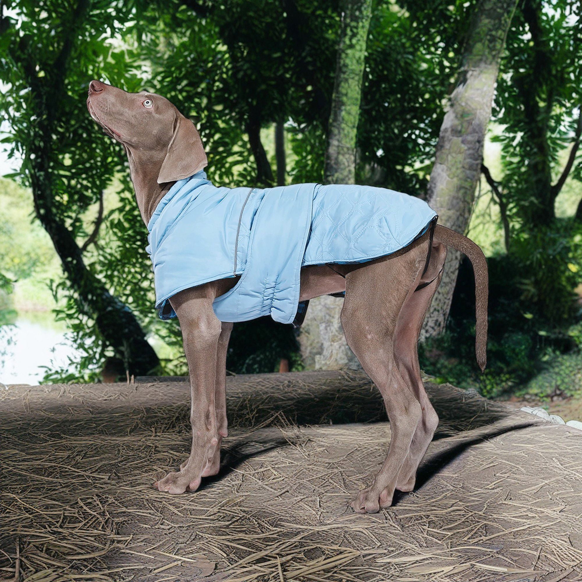 Kadyn Reversible Water Repellent Dog Jacket Pets Apparel Winter Warm Outdoor Sport Dog Coats for Winter Cold Weather Puppy Comfort Vest, Blue XL Kadyn Reversible Water Repellent Dog Jacket Pets Apparel Winter Warm Outdoor Sport Dog Coats for Winter Cold Weather Puppy Comfort Vest, Blue XL