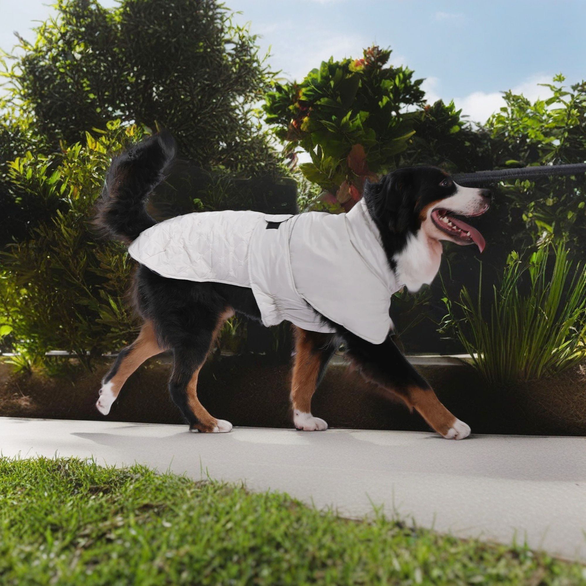 Kadyn Reversible Water Repellent Dog Jacket Pets Apparel Winter Warm Outdoor Sport Dog Coats for Winter Cold Weather Puppy Comfort Vest, Gray L Kadyn Reversible Water Repellent Dog Jacket Pets Apparel Winter Warm Outdoor Sport Dog Coats for Winter Cold Weather Puppy Comfort Vest, Gray L