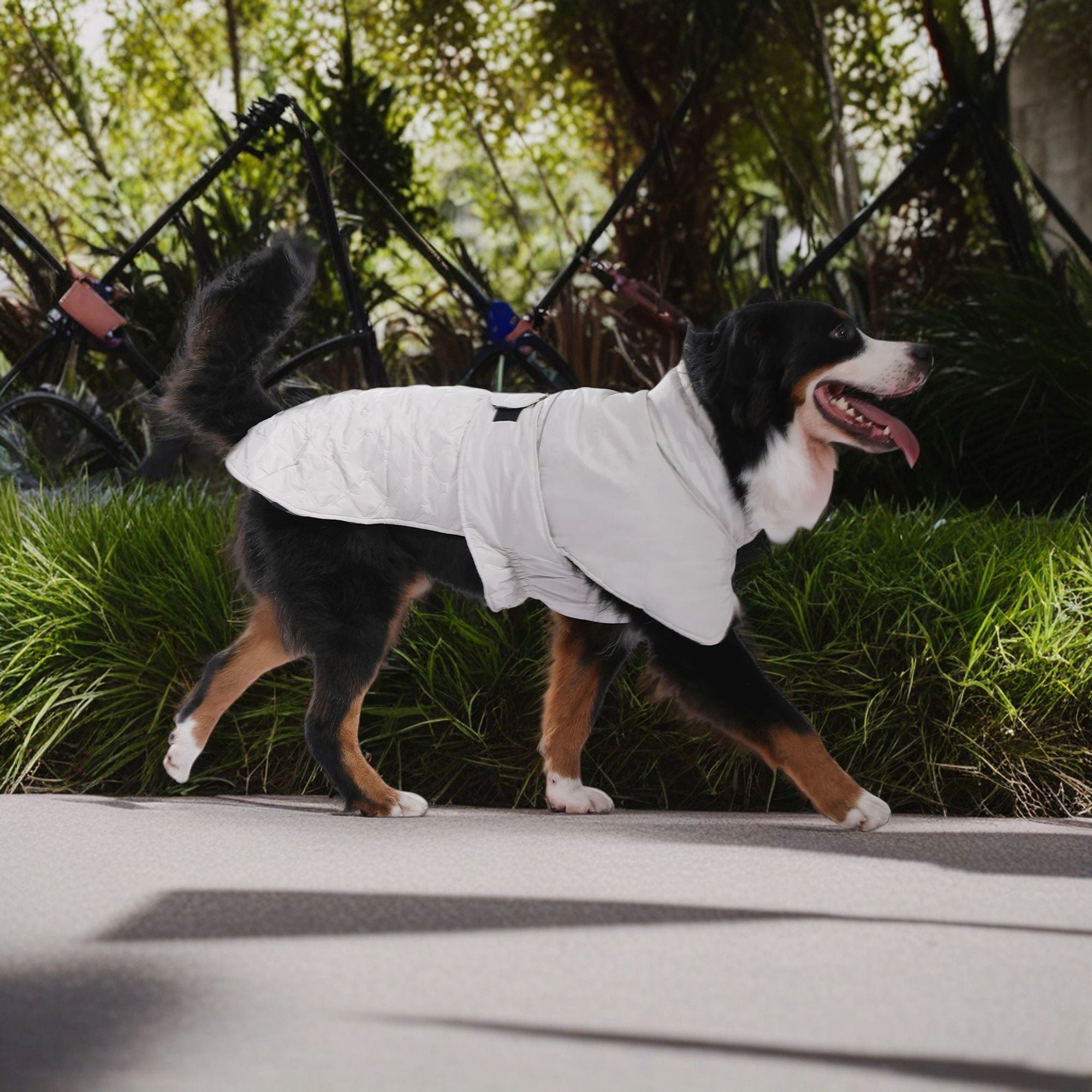 Kadyn Reversible Water Repellent Dog Jacket Pets Apparel Winter Warm Outdoor Sport Dog Coats for Winter Cold Weather Puppy Comfort Vest, Gray XL Kadyn Reversible Water Repellent Dog Jacket Pets Apparel Winter Warm Outdoor Sport Dog Coats for Winter Cold Weather Puppy Comfort Vest, Gray XL