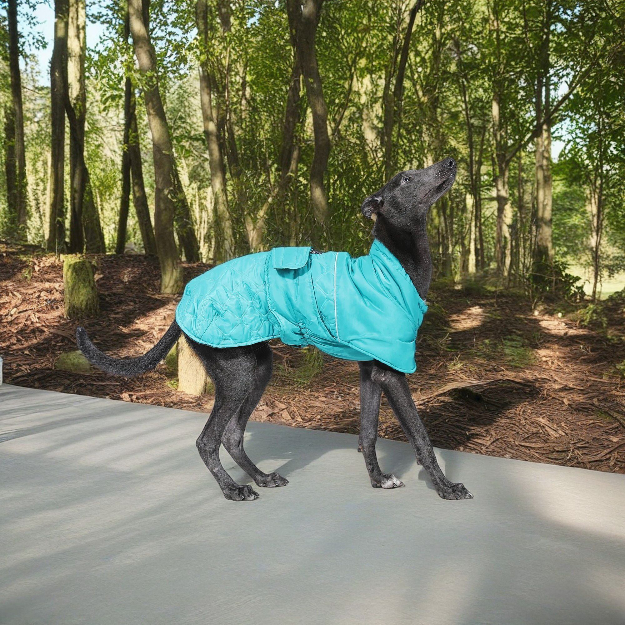 Kadyn Reversible Water Repellent Dog Jacket Pets Apparel Winter Warm Outdoor Sport Dog Coats for Winter Cold Weather Puppy Comfort Vest, Green L