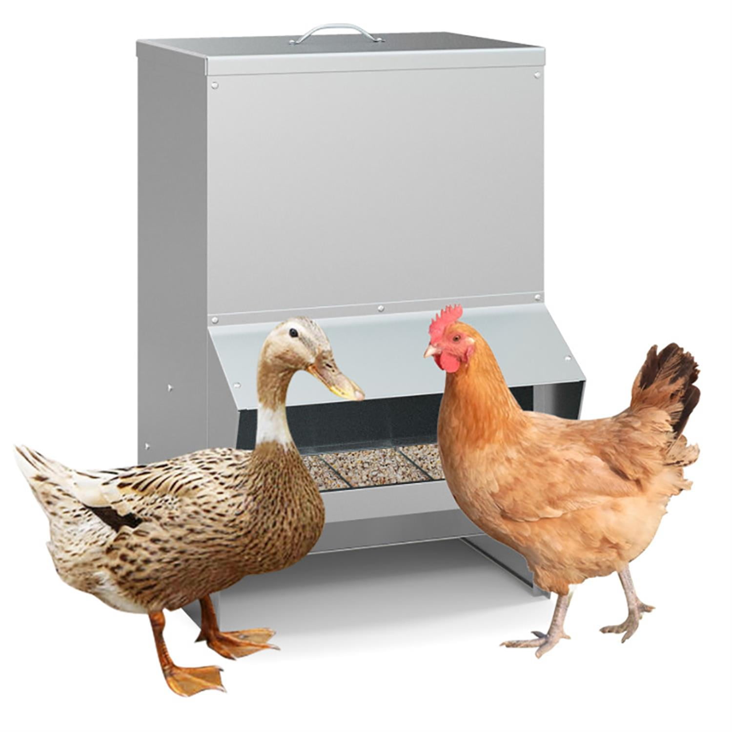 Kadyn Wall Galvanized Chicken Trough Feeder, Weatherproof Poultry Food Dispenser with Lid 50LB Capacity, Silver