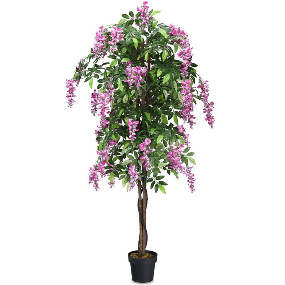 6-Foot Purple Silk Wisteria Tree with Black Plastic Pot