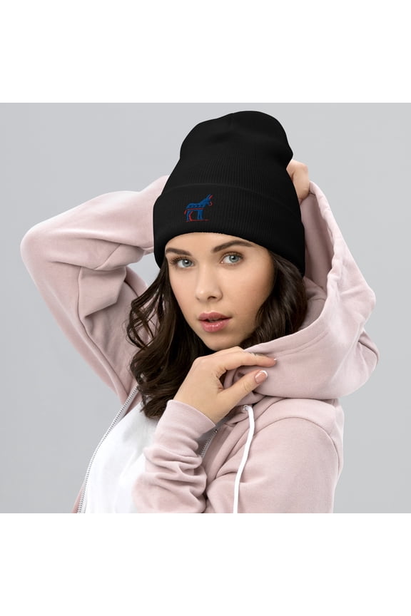 Democratic Pride Cuffed Beanie