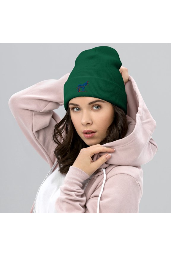 Democratic Pride Cuffed Beanie