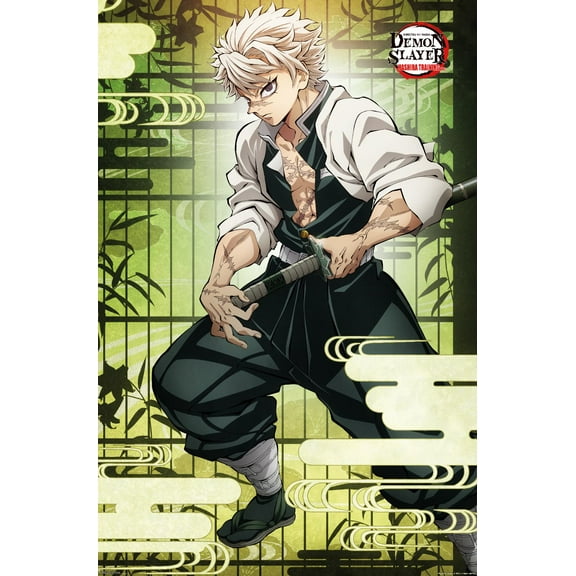 Demon Slayer: Hashira Training - Sanemi Wall Poster, 22.375" x 34"