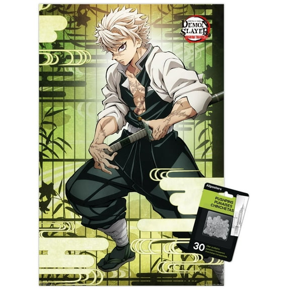 Demon Slayer: Hashira Training - Sanemi Wall Poster with Push Pins, 14.725" x 22.375"