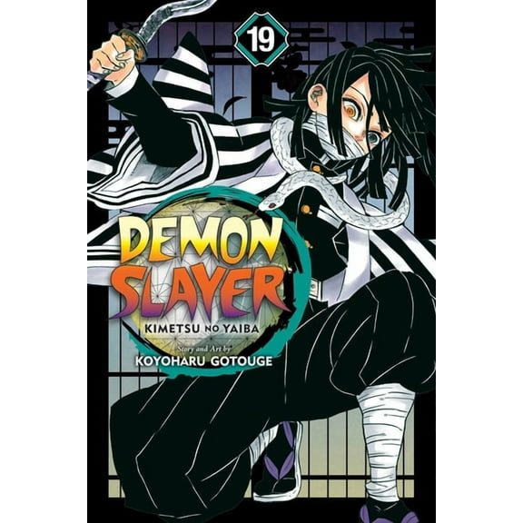 Demon Slayer: Kimetsu no Yaiba: Demon Slayer: Kimetsu no Yaiba, Vol. 19 (Series #19) (Paperback)
