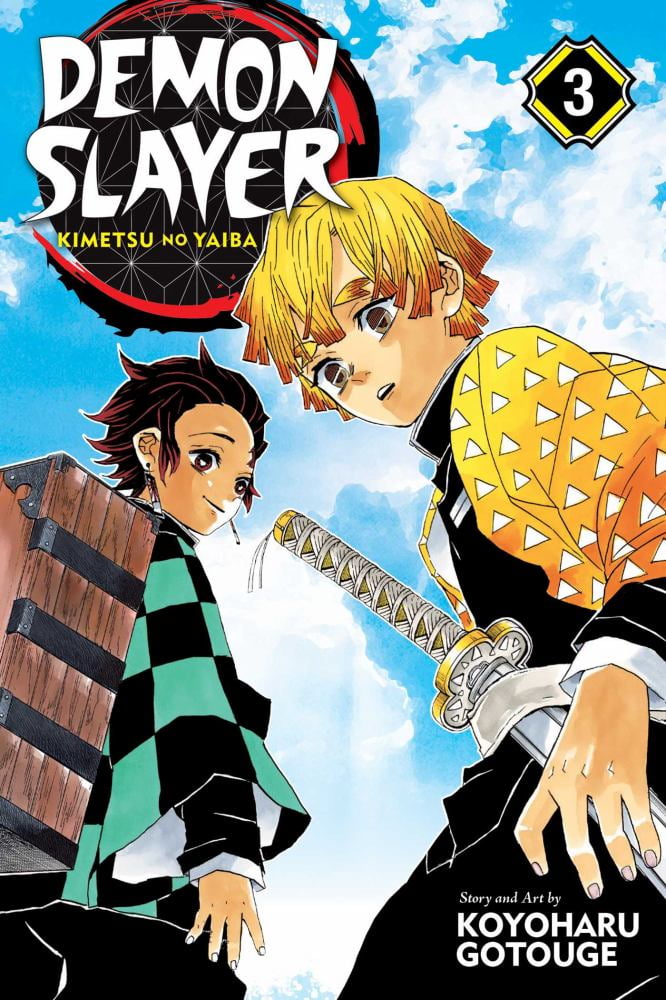 Demon Slayer: Kimetsu No Yaiba, Vol. 3 (Paperback)