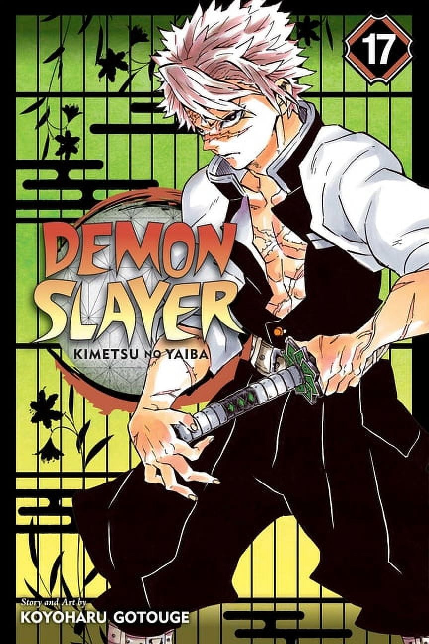 Demon Slayer, Kimetsu No Yaiba Mangá Volume 12 Ao 17 - kit em Promoção na  Americanas