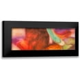 thumbnail image 1 of Demos, Jean-Luc 18x9 Black Modern Framed Museum Art Print Titled - Nirvana, 1 of 5