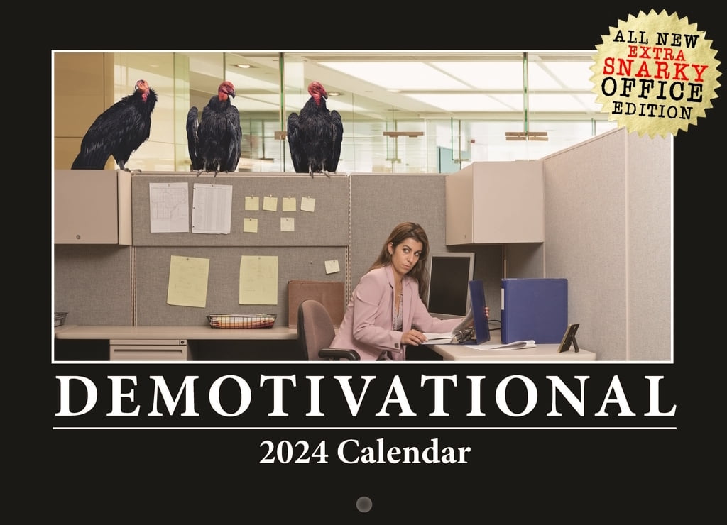 Demotivational Calendar 2024 Snarky Gift For Women Wall Calendar