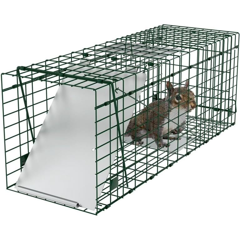Den Haven Live Animal Trap Humane Catch & Release Cage Cat Rabbit Rodents  2-Door Foldable Heavy Duty Trapping Kit (Large )(32 X 12 X 12) 