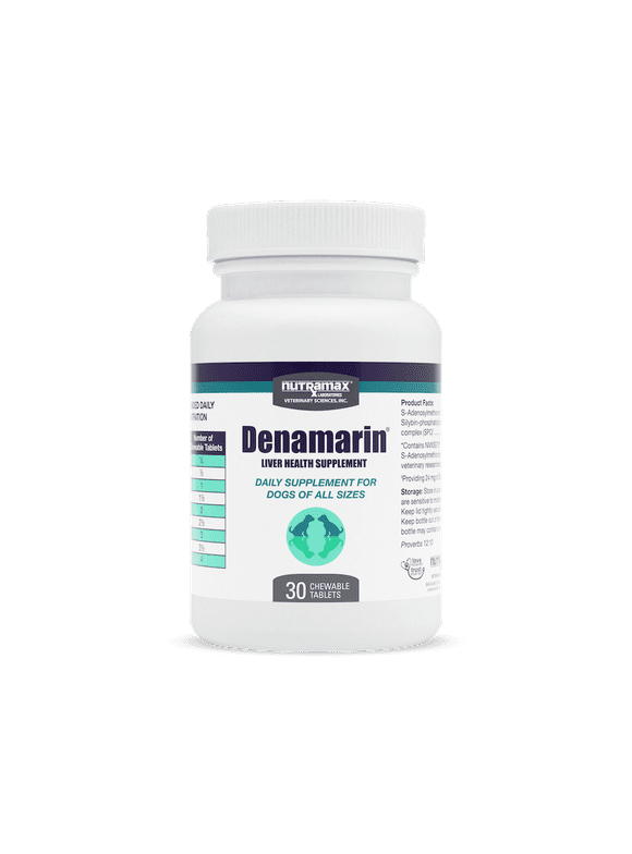 advanced comfort dr scholl's series