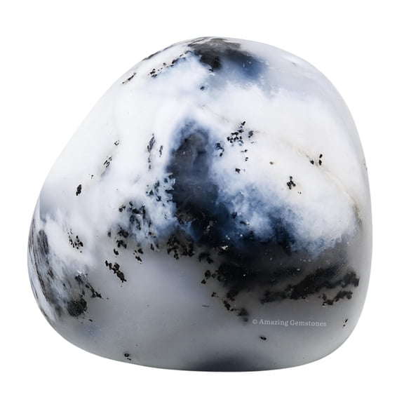 Dendrite Opal Crystal Tumbled Stones Polished Rocks (1 OZ)