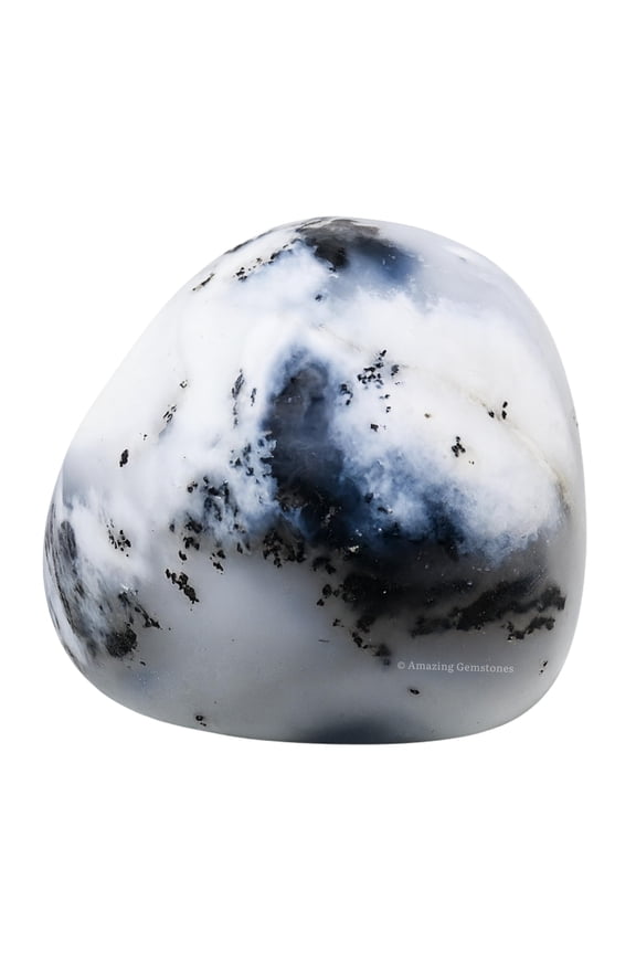 Dendrite Opal Crystal Tumbled Stones Polished Rocks (1 OZ)