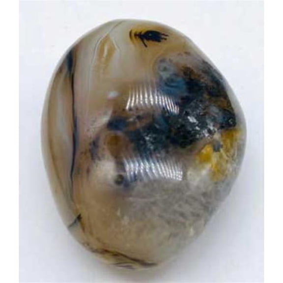 Dendritic Palm Stone - Agate - Unique Design - 0.3 lbs - Natural Healing