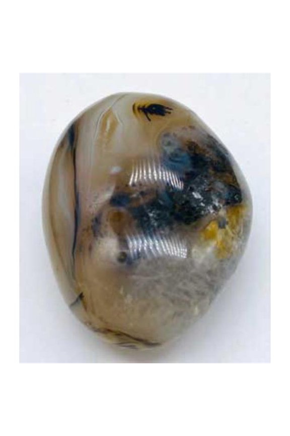 Dendritic Palm Stone - Agate - Unique Design - 0.3 lbs - Natural Healing